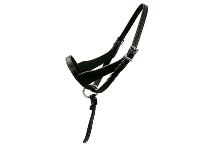 Paris Tack Double Layered Leather Grow with Me Adjustable Horse Foal Halter with Extra Crown Piece - Image 1